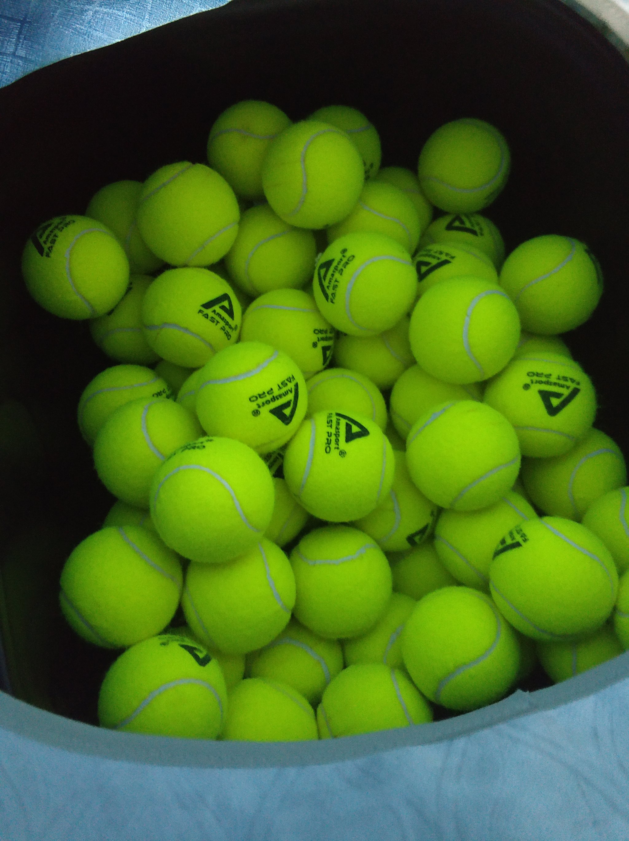 纷纷表示期 纷纷表示期