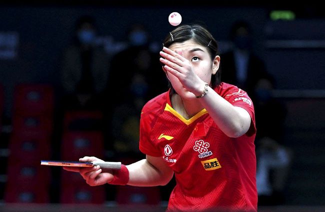 行侠报价凯 行侠报价凯